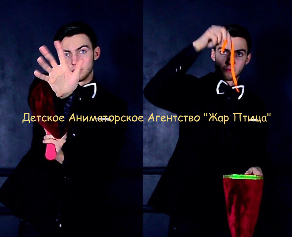 Детское Аниматорское Агентство 