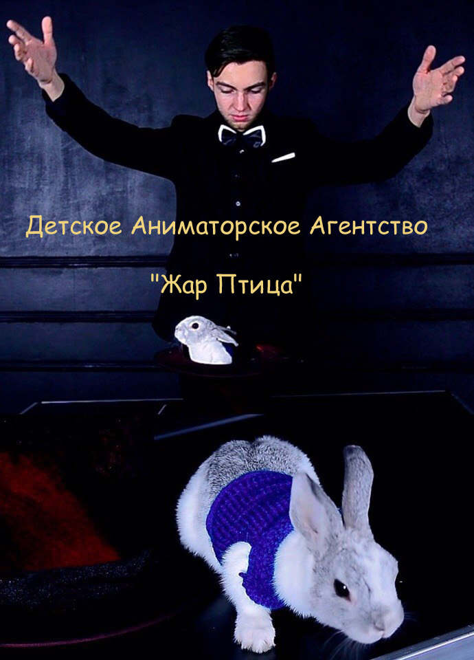Детское Аниматорское Агентство 