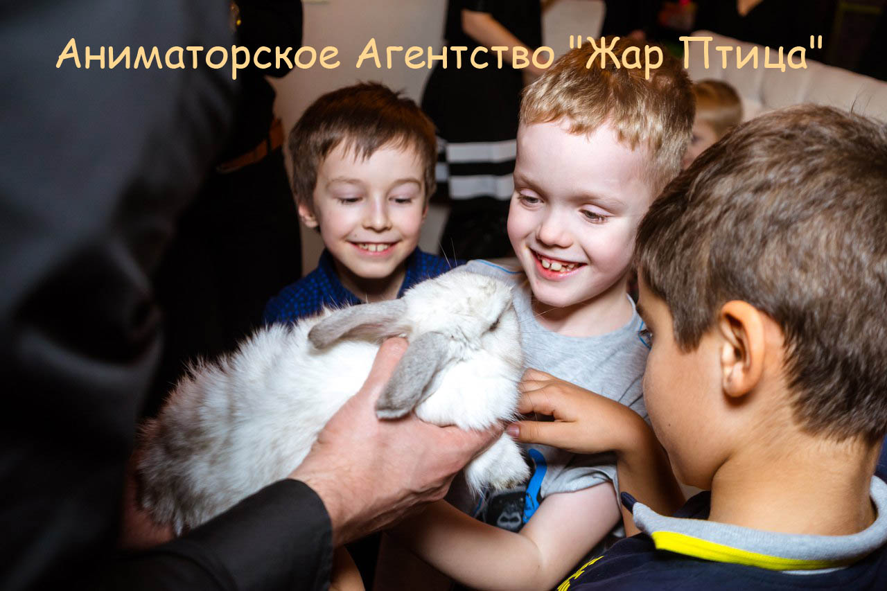 Детское Аниматорское Агентство 
